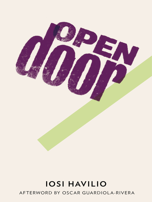 Title details for Open Door by Iosi Havilio - Available